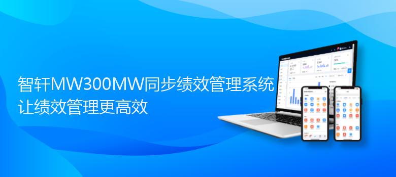 MW300MW同步绩效管理系统